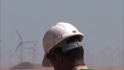 Wind Farm in Egypt